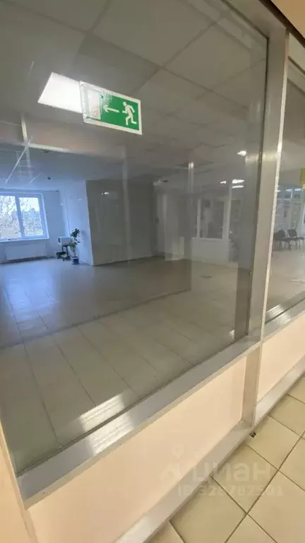 Торговая площадь в Псковская область, Дедовичи рп ул. Егорова, 10 (300 ... - Фото 1