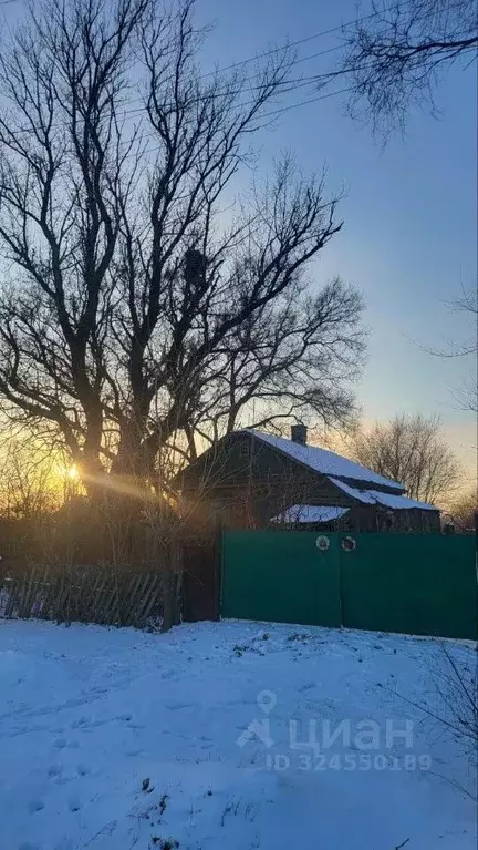 Дом в Приморский край, Октябрьский муниципальный округ, с. Покровка ... - Фото 1