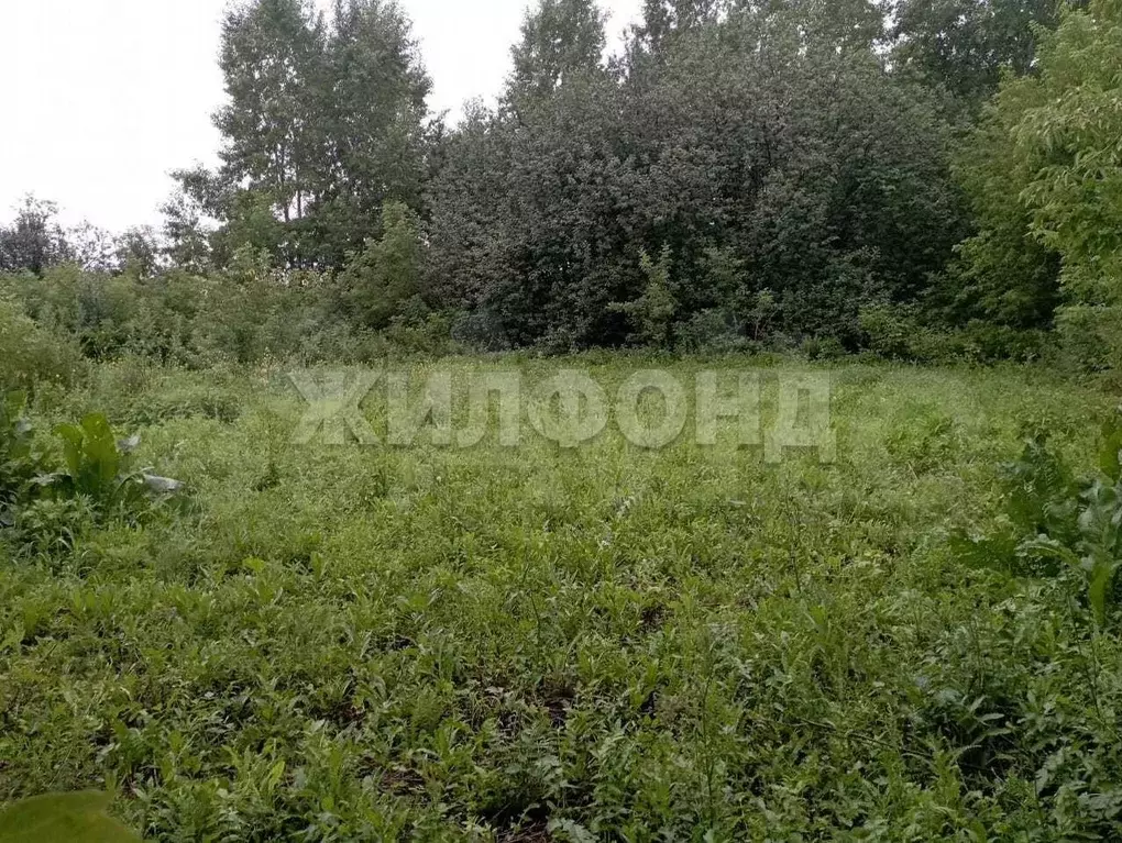 Участок 14,6 сот. (ИЖС) - Фото 0