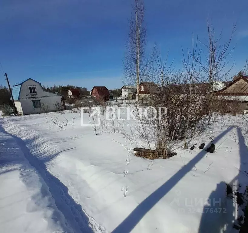 Участок в Костромская область, Кострома Струя-1 СНТ, 64 (6.0 сот.) - Фото 2