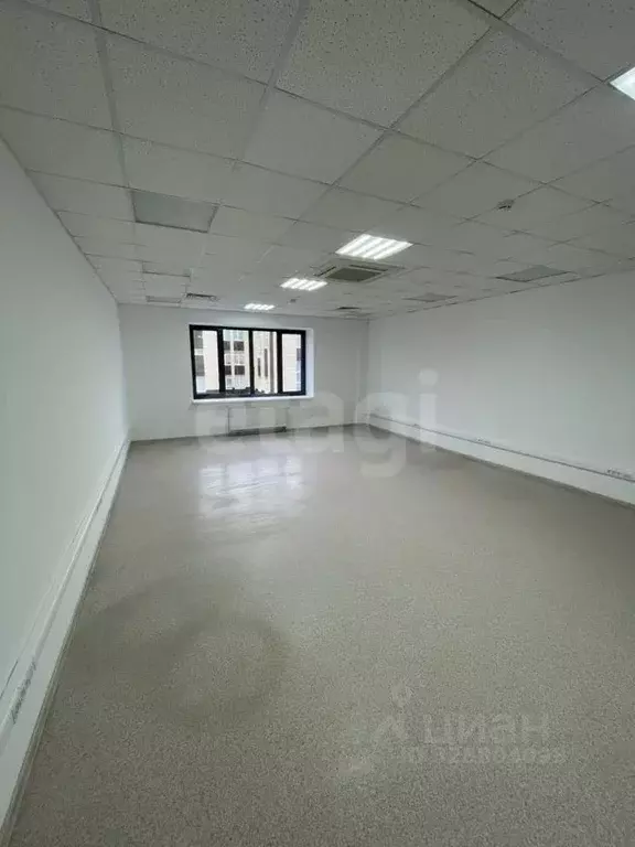 Офис в Калужская область, Калуга ул. Мичурина, 11 (52 м) - Фото 1