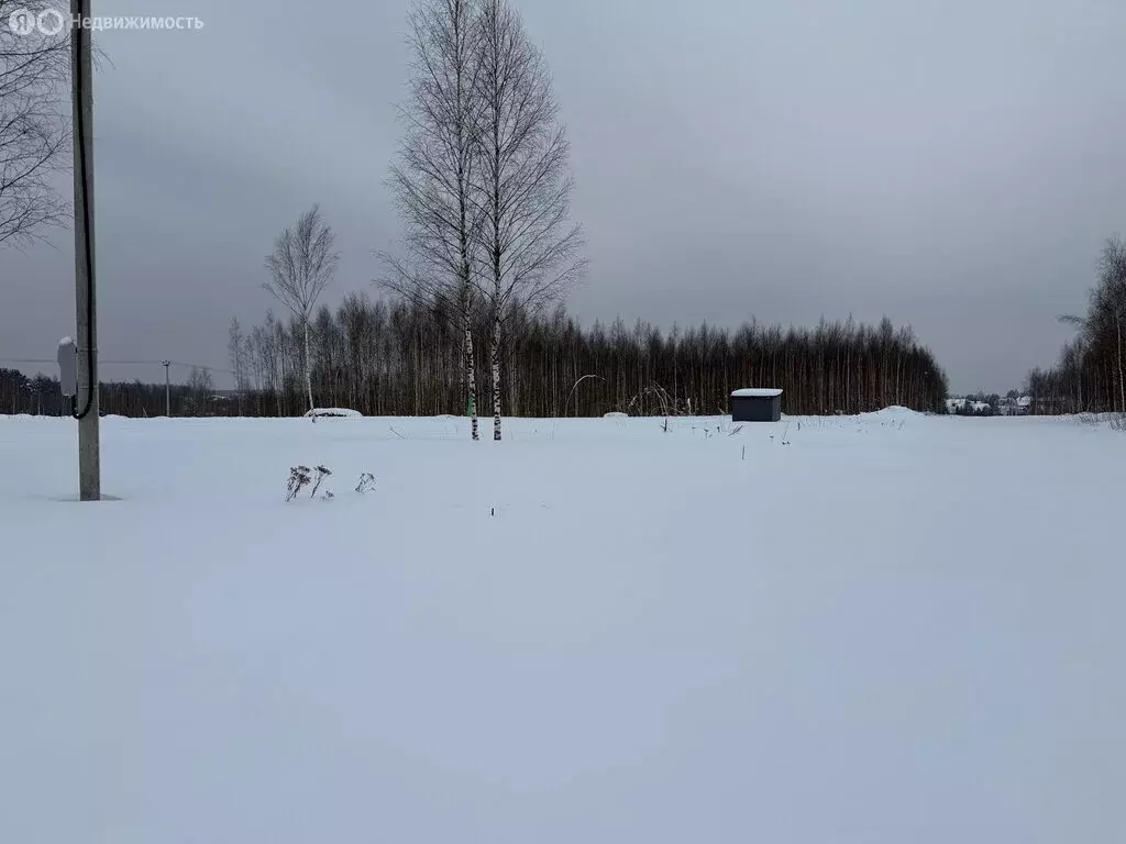 Участок в Владимирская область, Александровский муниципальный округ, ... - Фото 2