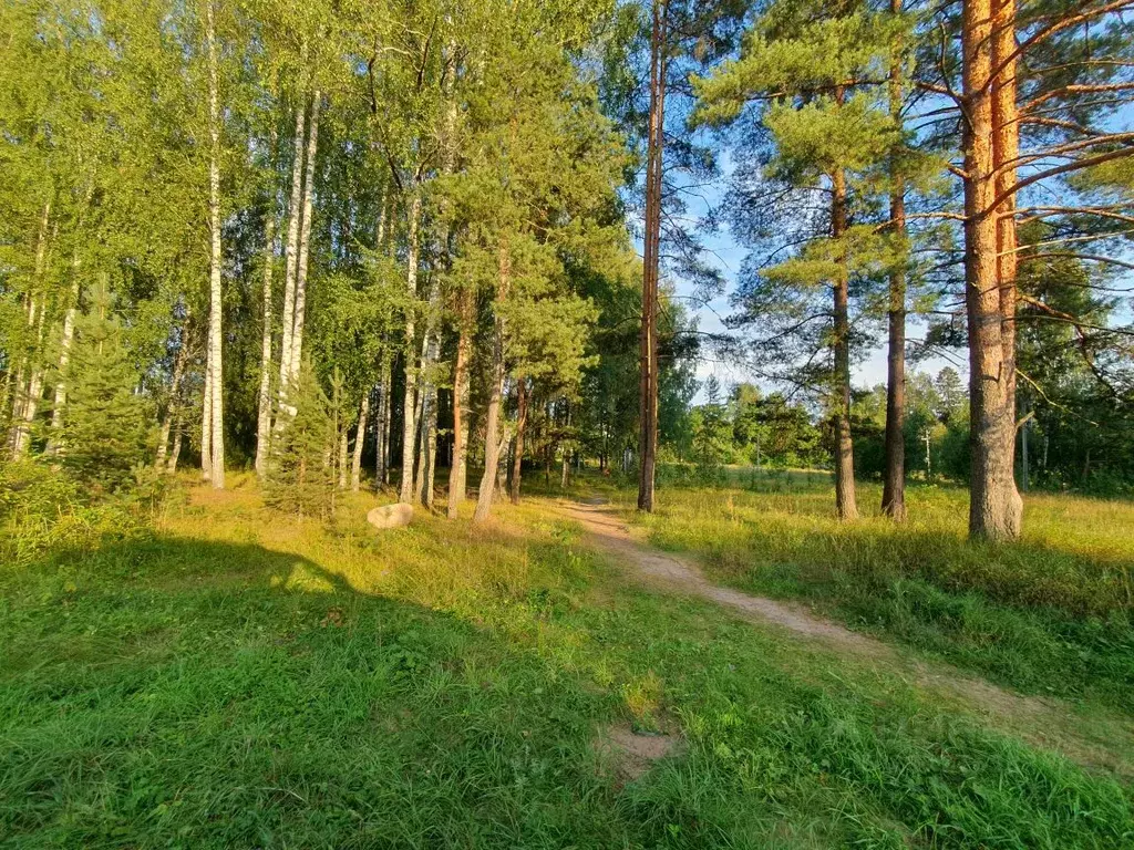 Дом в Ленинградская область, Гатчинский район, Вырица городской ... - Фото 1