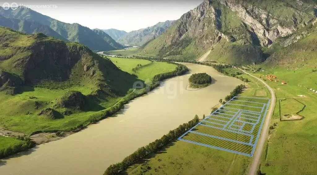 Участок в Чемальский район, село Чемал (50.2 м) - Фото 0