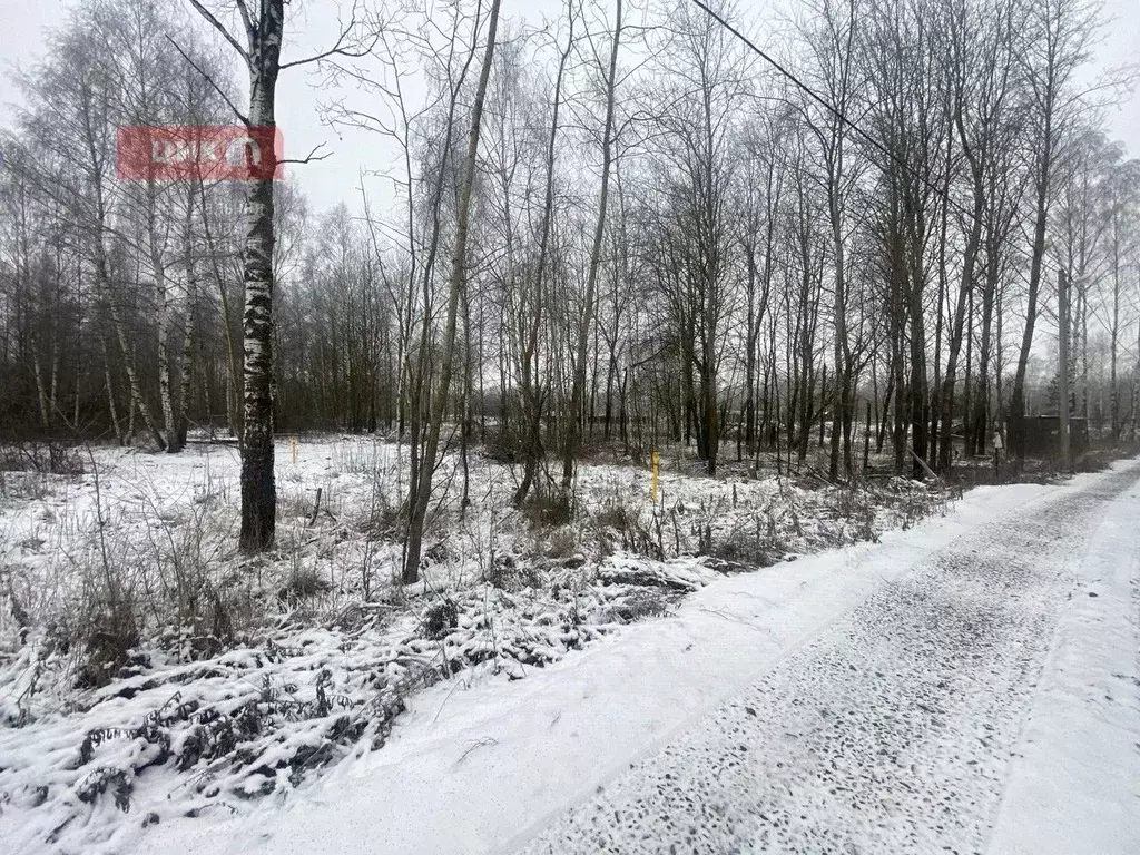 Участок в Рязанская область, Рязанский муниципальный округ, с. ... - Фото 1