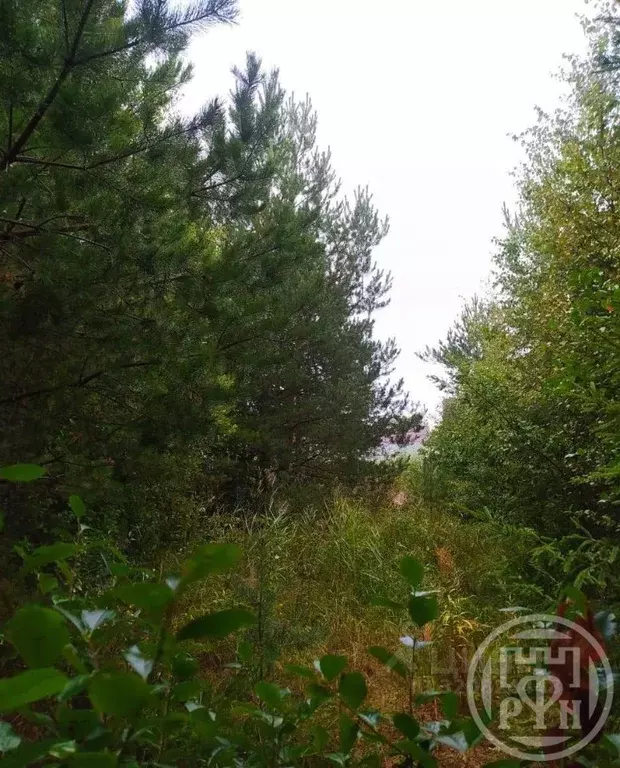 Участок в Ленинградская область, Всеволожский район, Рахьинское ... - Фото 0