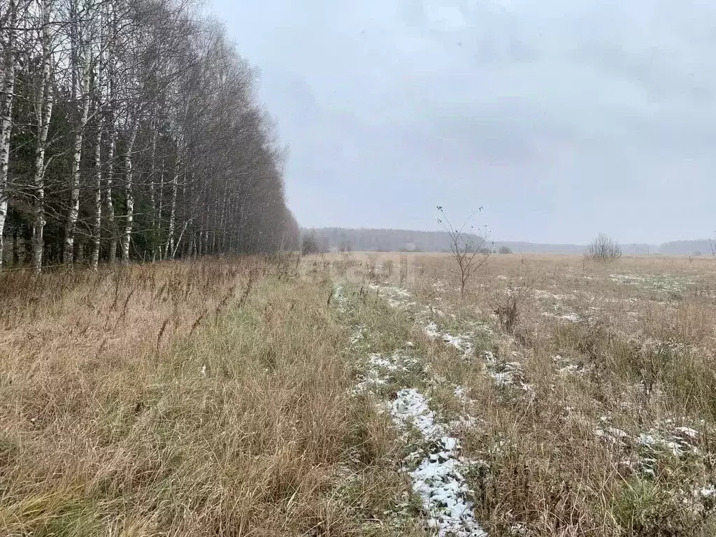 Участок в Ярославская область, Ярославский район, Кузнечихинское ... - Фото 1