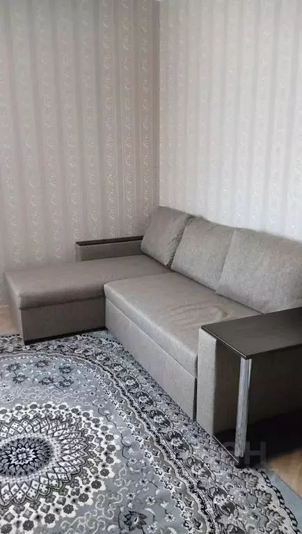 1-к кв. Московская область, Ногинск Богородский городской округ, ул. ... - Фото 1