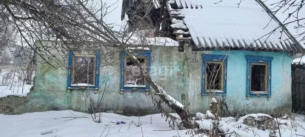 Участок в Брянская область, Фокино ул. Головачева (20.5 сот.) - Фото 1