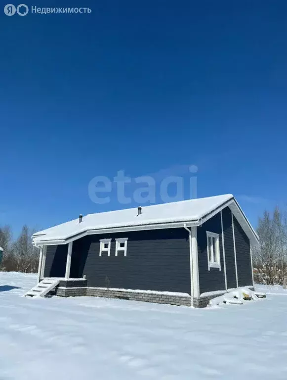 Дом в Ярославский муниципальный округ, деревня Зверинцы (98 м) - Фото 1