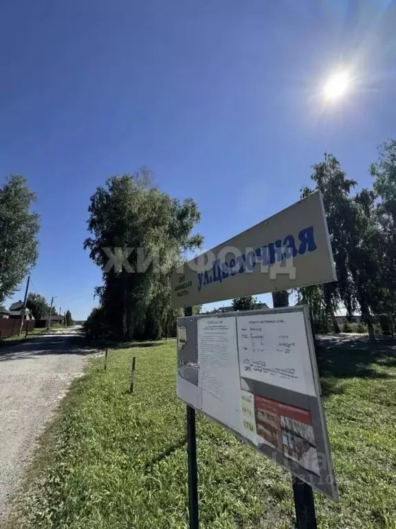 Участок в Новосибирская область, Новосибирский район, с. Боровое ул. ... - Фото 1