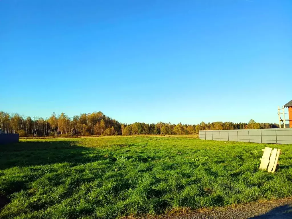 Участок в Московская область, Истра муниципальный округ, д. Загорье, ... - Фото 1