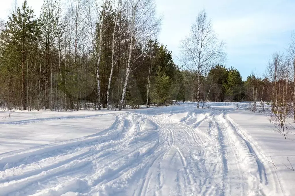 Участок 3 га (СНТ, ДНП) - Фото 0