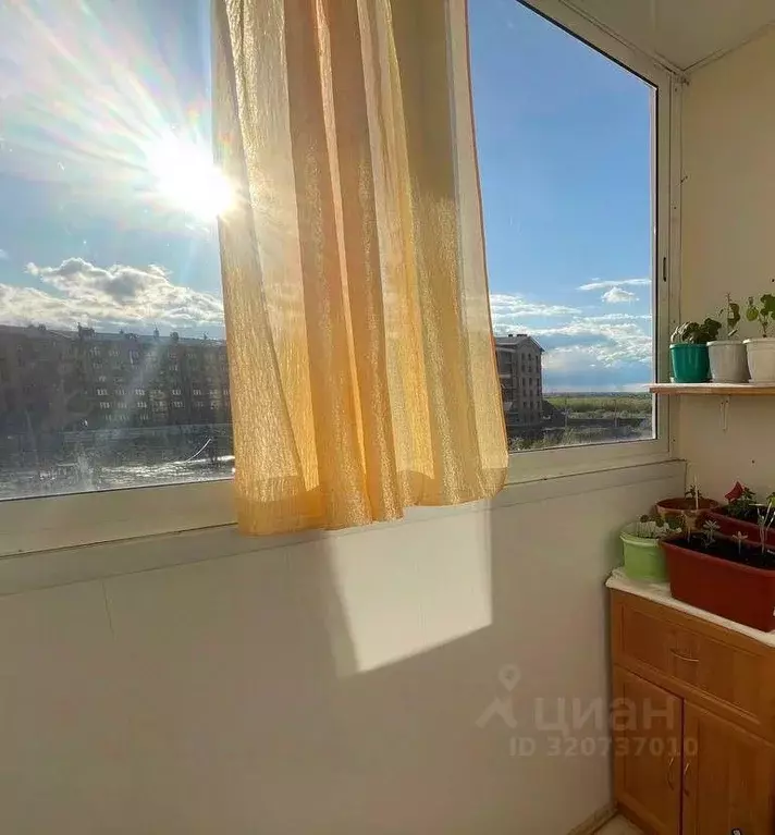 1-к кв. Ярославская область, Ярославский муниципальный округ, пос. ... - Фото 2