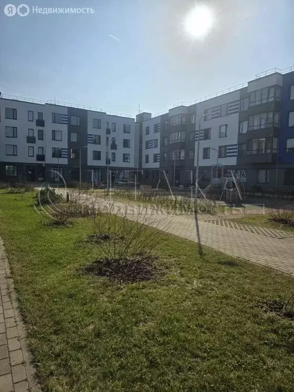 Помещение свободного назначения (37.6 м) - Фото 2