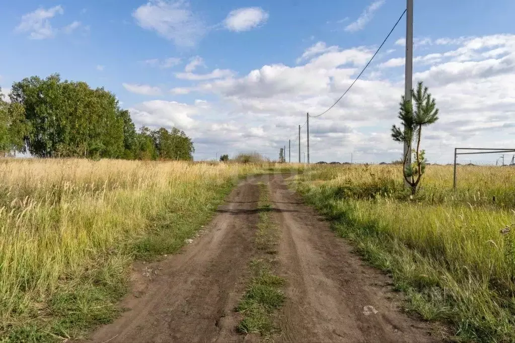 Участок в Татарстан, Тукаевский район, Малошильнинское с/пос, пос. ... - Фото 1