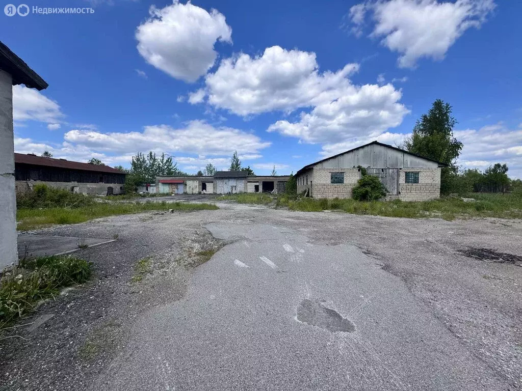Помещение свободного назначения (900 м) - Фото 1