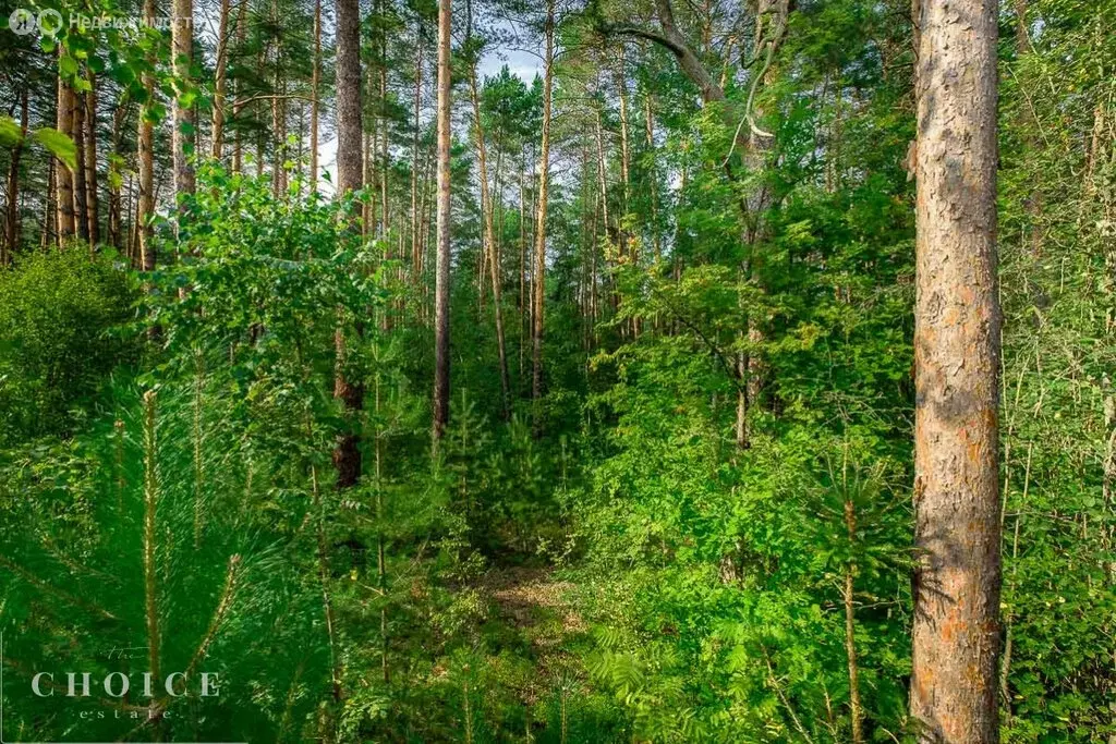 Участок в посёлок Барвиха, территория Сады Майендорф (49.16 м) - Фото 1