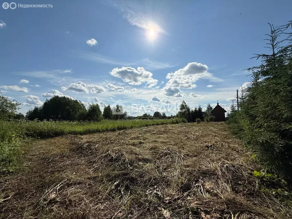 Участок в Вологодский муниципальный округ, деревня Бабик (21 м) - Фото 0