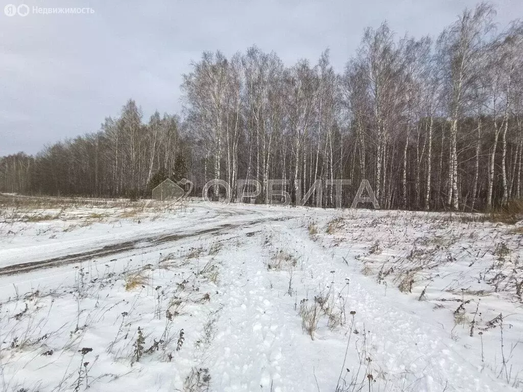 Участок в Тюменский район, село Успенка (13.51 м) - Фото 1