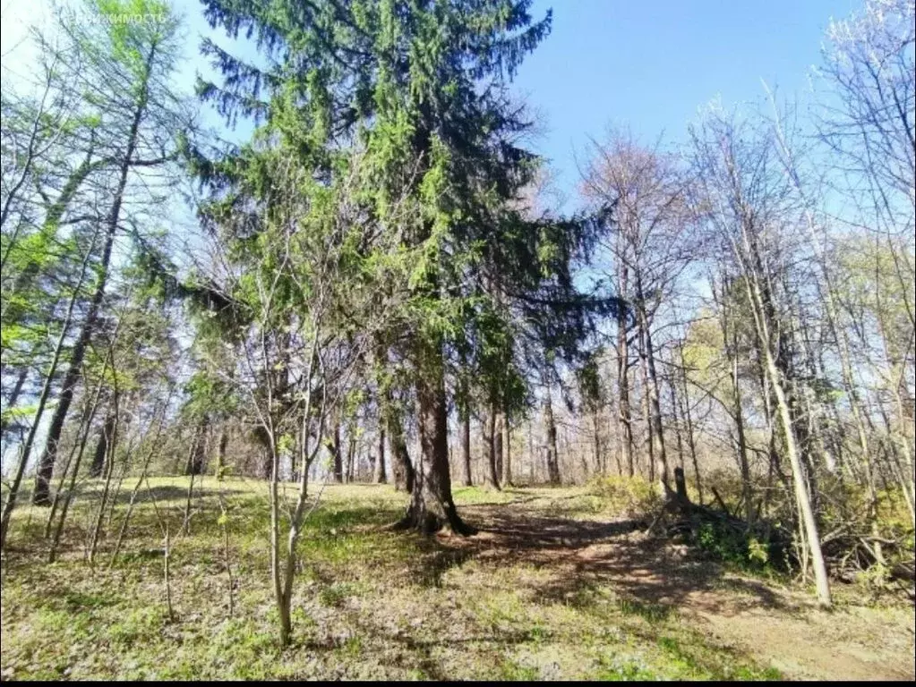 Участок в Всеволожск, микрорайон Сельхозколледж (7.94 м) - Фото 2