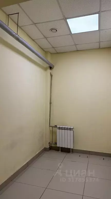 Помещение свободного назначения в Новосибирская область, Новосибирск ... - Фото 0