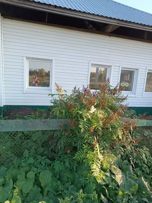 Дом в Свердловская область, Талицкий городской округ, с. Куяровское ... - Фото 1