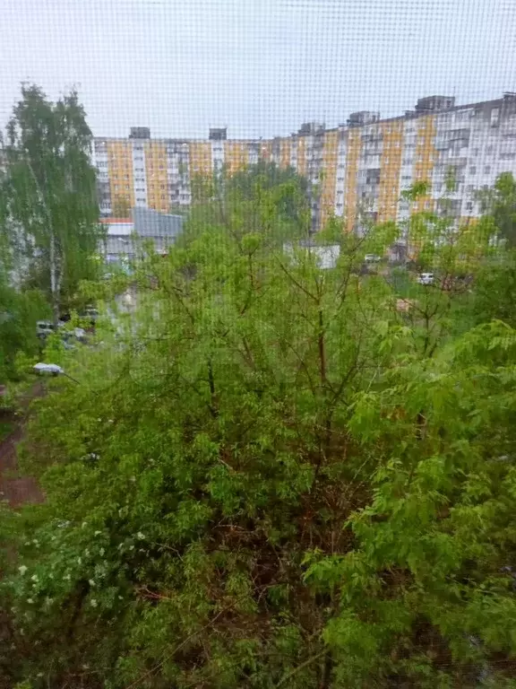 Комната 13 м в 8-к., 5/5 эт. - Фото 0