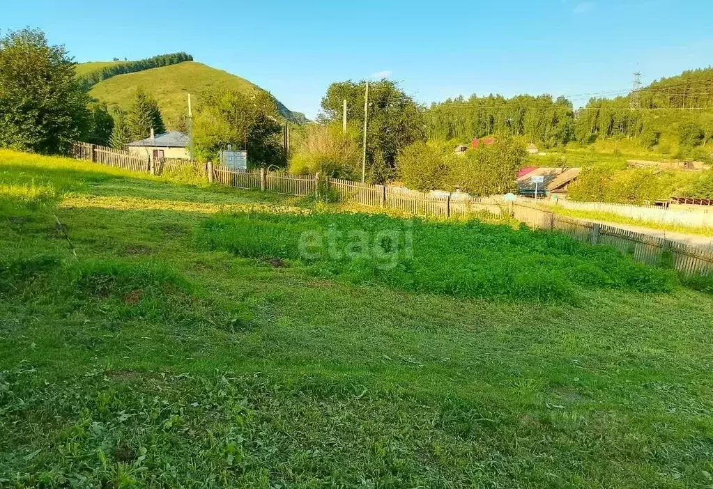 Участок в Алтайский край, Алтайский район, с. Нижнекаянча ул. Школьная ... - Фото 1