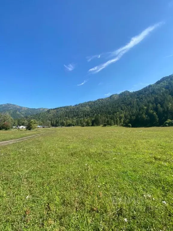 Участок в Алтай, Чемальский район, с. Турбаза Катунь ул. Новосибирская ... - Фото 1
