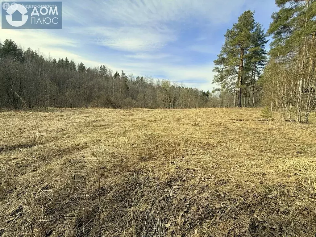 Участок в Республика Карелия, Кондопожский муниципальный район, ... - Фото 2