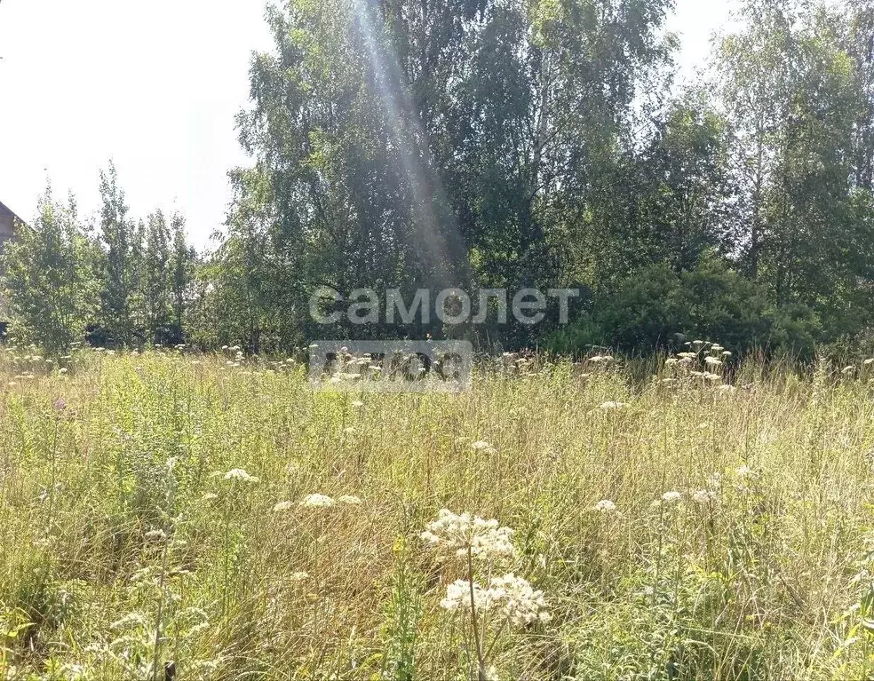 Участок в Московская область, Химки городской округ, Дачной застройки ... - Фото 1