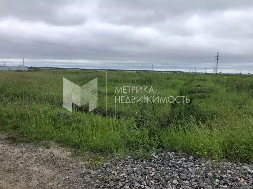 Участок в Тюменская область, Тюмень ул. Ягодная (5.0 сот.) - Фото 1