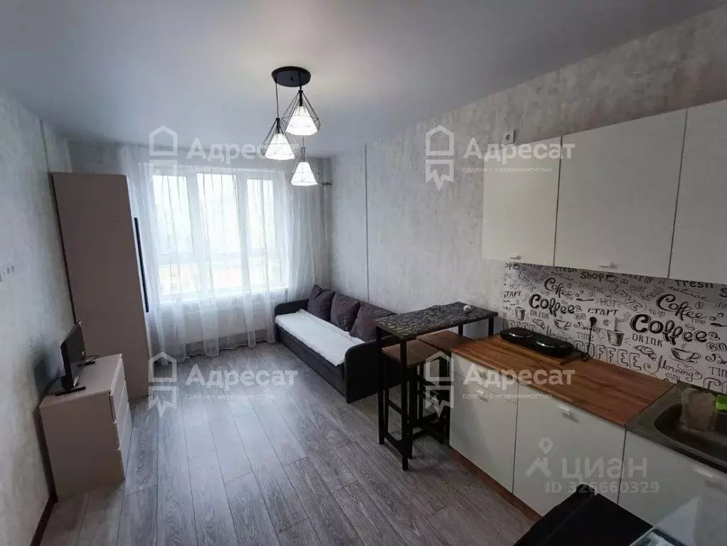 Студия Волгоградская область, Волгоград ул. Грибанова, 3А (25.0 м) - Фото 1