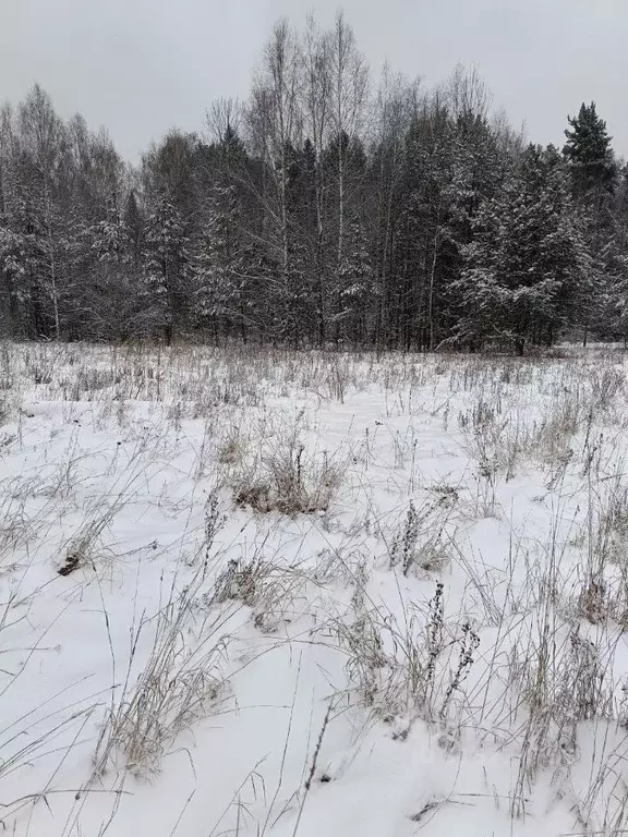 Участок в Московская область, Павлово-Посадский городской округ, д. ... - Фото 0