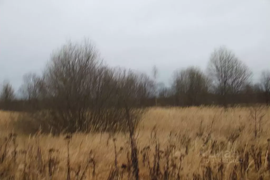 Участок в Московская область, Шаховская муниципальный округ, д. ... - Фото 1