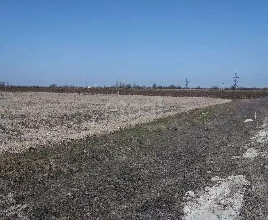 Участок в Крым, Кировский район, с. Владиславовка ул. Виноградная ... - Фото 1