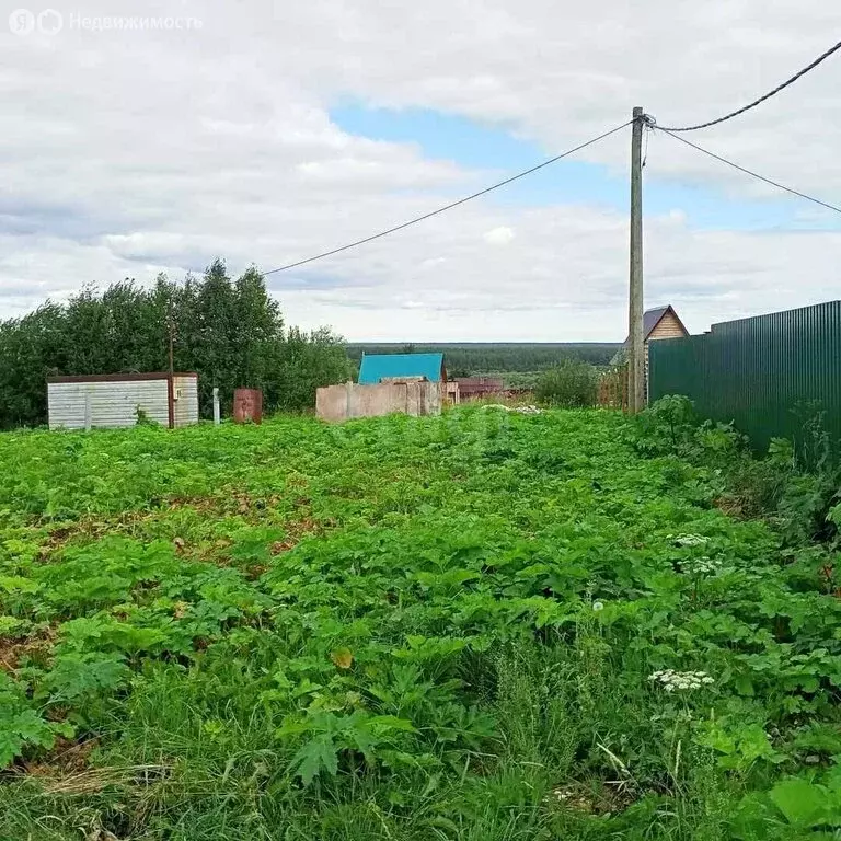 Участок в деревня Койтыбож, Устюжская улица (14 м) - Фото 2