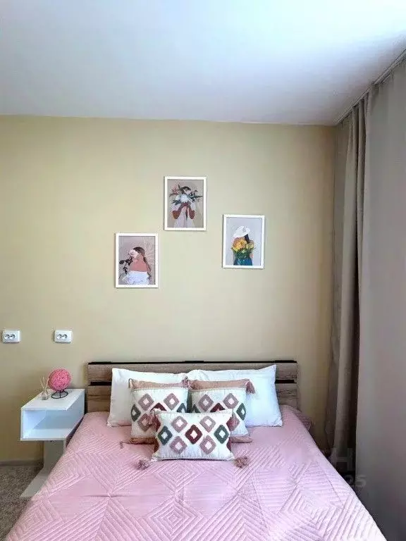 1-к кв. Красноярский край, Красноярск ул. Лесников, 51 (25.0 м) - Фото 2