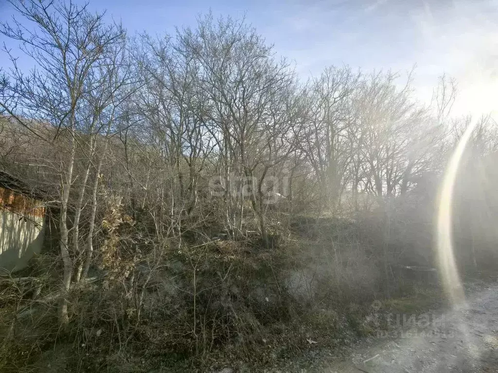 Участок в Краснодарский край, Новороссийск городской округ, с. ... - Фото 1