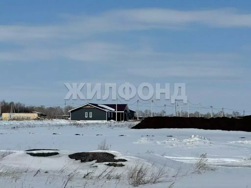 Участок в Калининградская область, Славский муниципальный округ, пос. ... - Фото 2