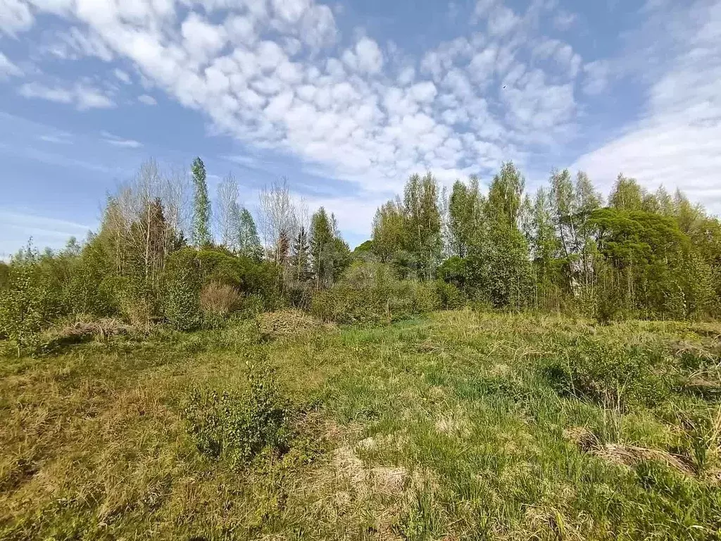 Участок в Новгородская область, Чудовский район, Грузинское с/пос, д. ... - Фото 2