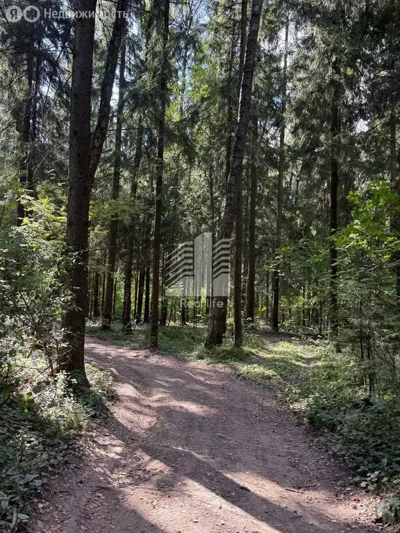Участок в Московская область, городской округ Ступино, КП Мишкин луг, ... - Фото 0
