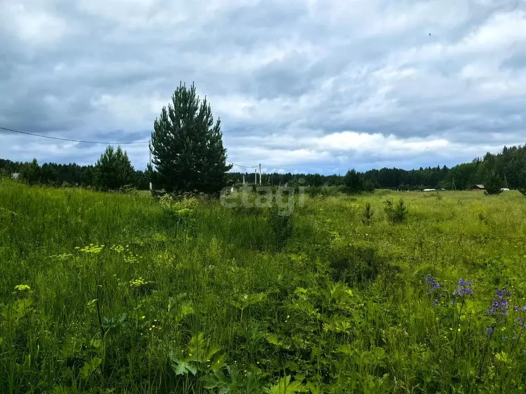 Участок, 19.1 сот., сельхоз (снт или днп) - Фото 1