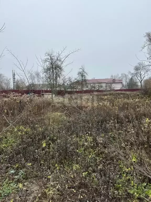 Участок в Калужская область, Дзержинский муниципальный округ, Совхоз ... - Фото 1