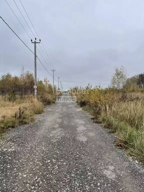 Участок в Нижегородская область, Павловский район, д. Самойловка  ... - Фото 1