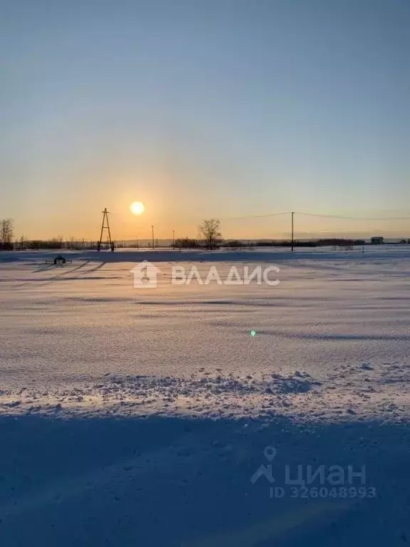 Участок в Нижегородская область, Нижний Новгород д. Старые Ключищи, 80 ... - Фото 2