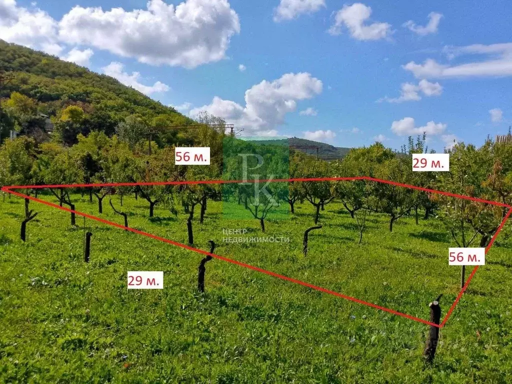 Дом в Севастополь Заречный садовое товарищество, 42 (24 м) - Фото 1