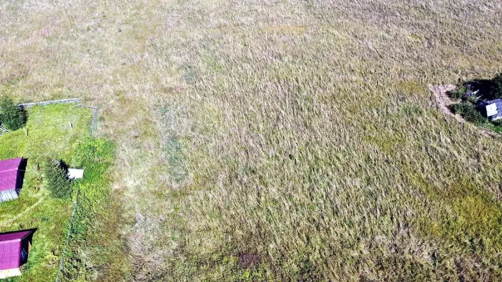 Участок в Карелия, Питкярантский муниципальный округ, д. Карку ул. ... - Фото 2