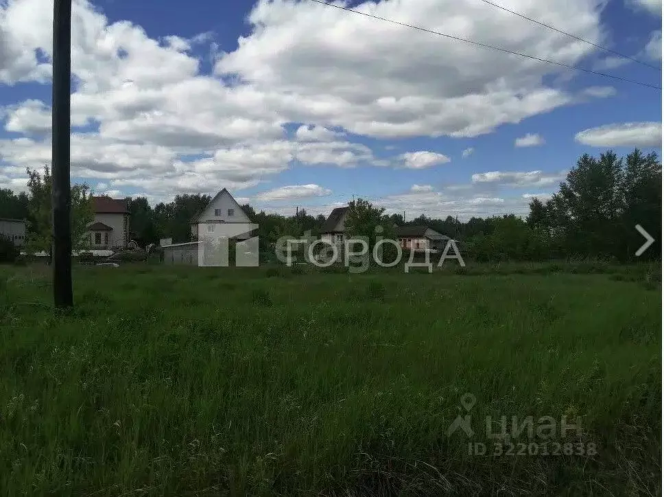 Участок в Алтайский край, Барнаул городской округ, пос. Бельмесево ул. ... - Фото 0